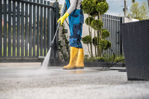 Best Pressure Washing Driveway  in Point Clear, AL