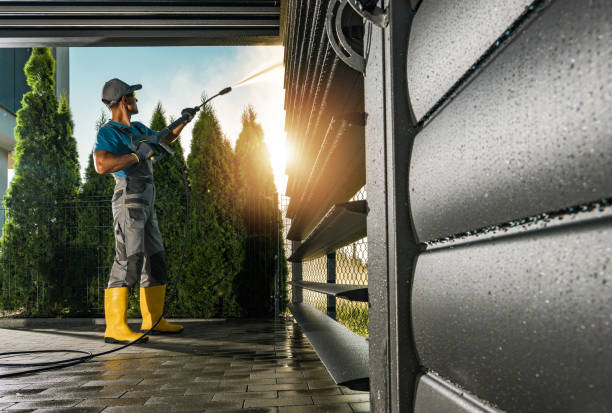 Best Roof Pressure Washing  in Point Clear, AL